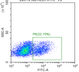 VHH3 Recombinant Target Protein