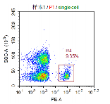 Anti-huCD19 Image 2