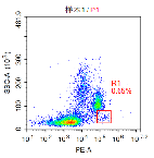 Anti-huCD34 Image 4
